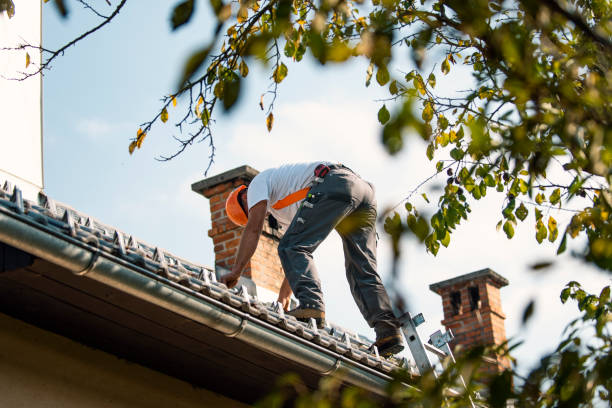 Steel Roofing in Monte Vista, CO